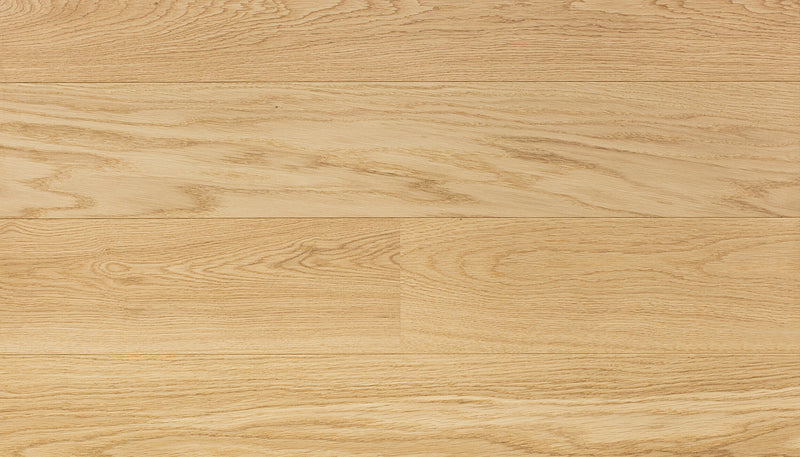 STEJAR Elite PURE LINE 11157