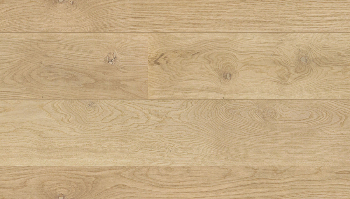 OAK B/C DAZY 11164