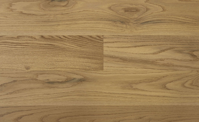 STEJAR Vivid LEGACY 11687
