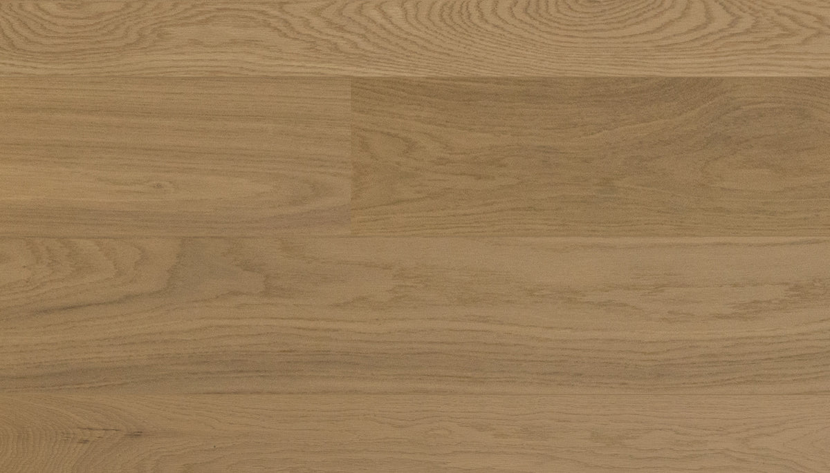 OAK Vivid Plus Beige 11706
