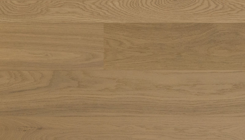 STEJAR Vivid Plus Beige 11706