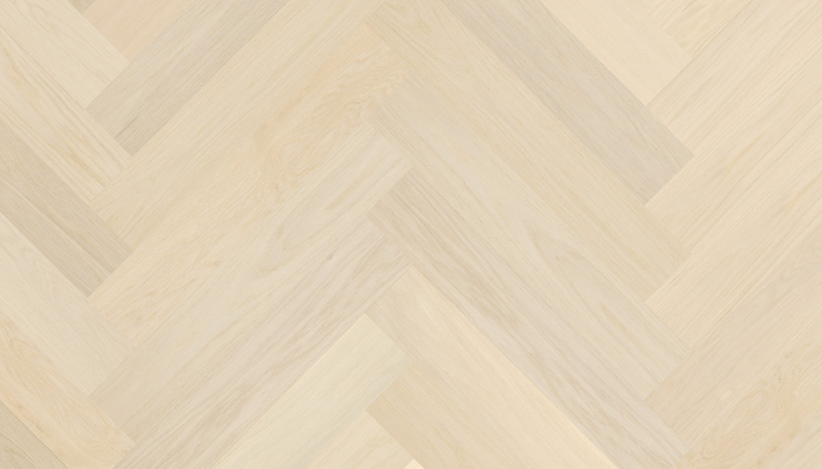 STEJAR Elite LATTE 14069