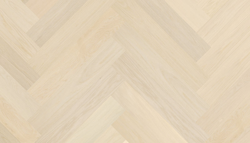 STEJAR Elite LATTE 14069