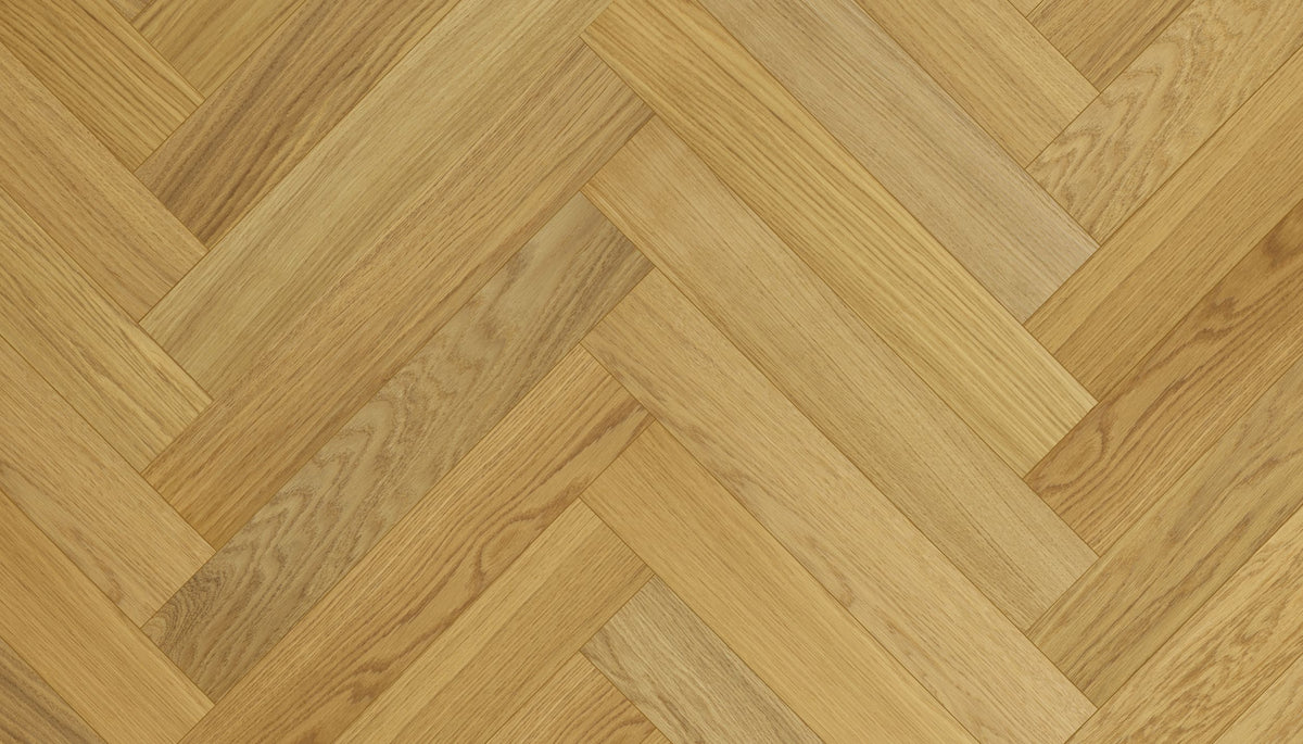STEJAR Elite LAC 14501