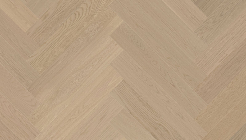 STEJAR Elite DAZY 14508
