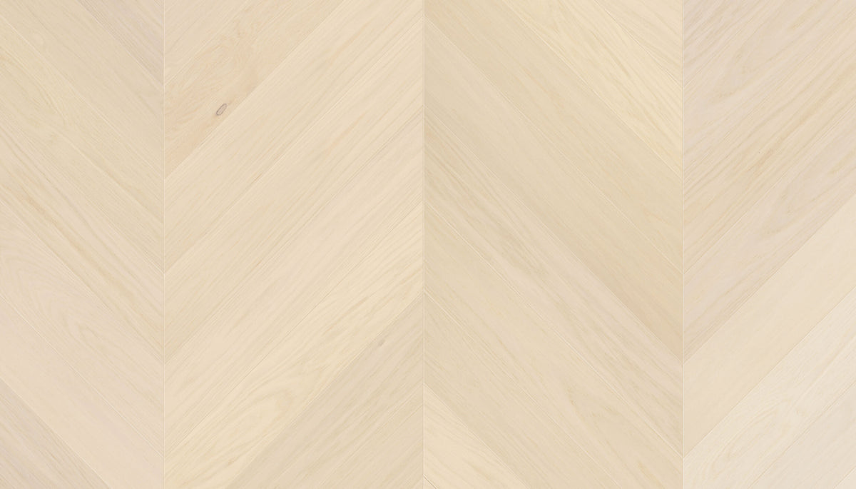 STEJAR A/B LATTE 15012