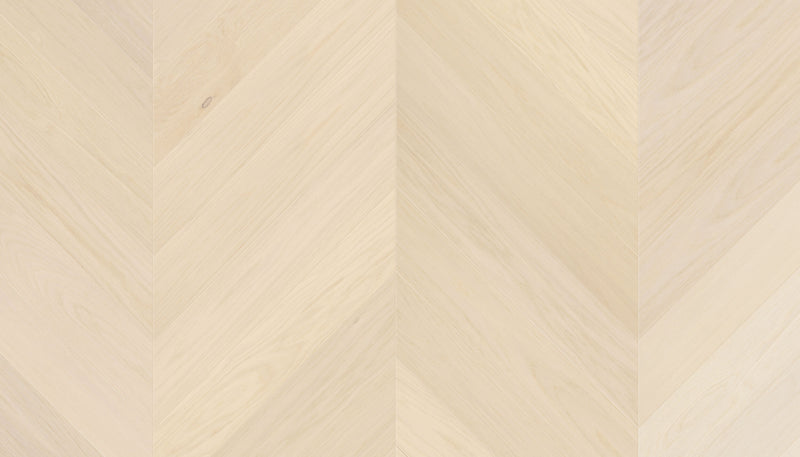 STEJAR A/B LATTE 15012