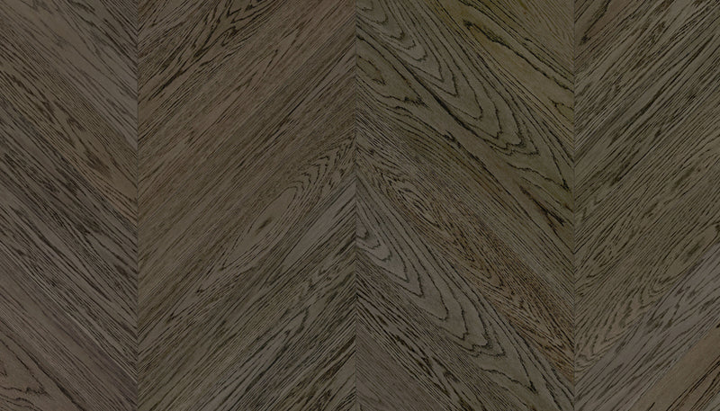STEJAR Elite LAVA GREY LAC 15519
