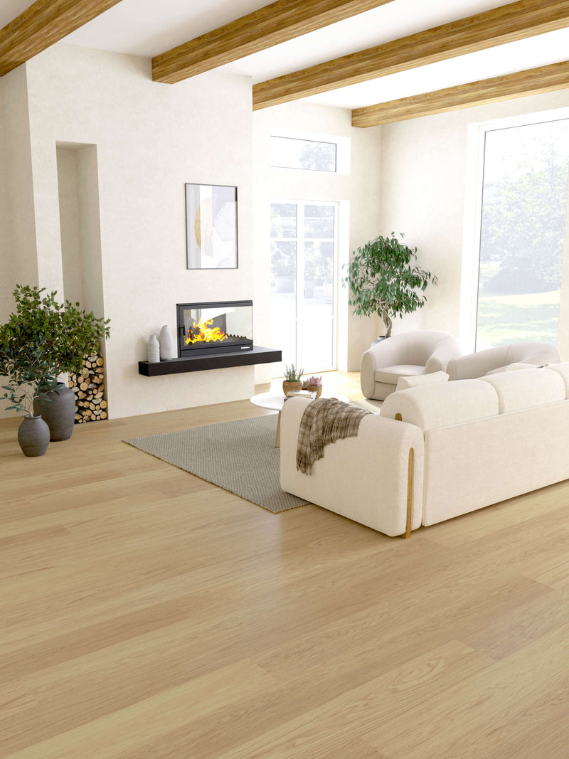 STEJAR Elite PURE LINE 16039 - 0