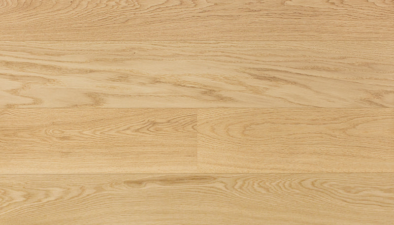 STEJAR Elite PURE LINE 16039