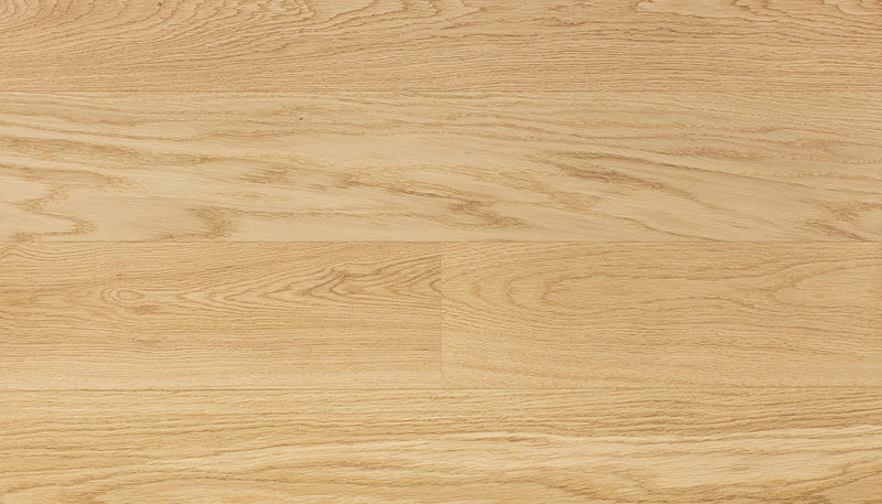 STEJAR Elite PURE LINE 16052