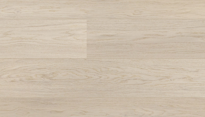 STEJAR Elite LATTE 16056