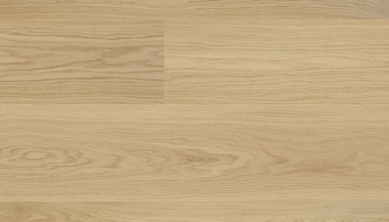 STEJAR Elite PURE LINE 11506