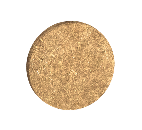 Tupai 4181
