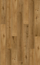 OAK GOLDEN 6RL 501-2