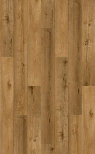 OAK GOLDEN 6RL 501 - 0