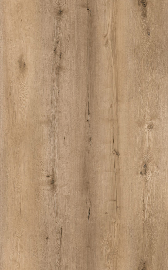OAK CHAMPAGNE 6RL 505