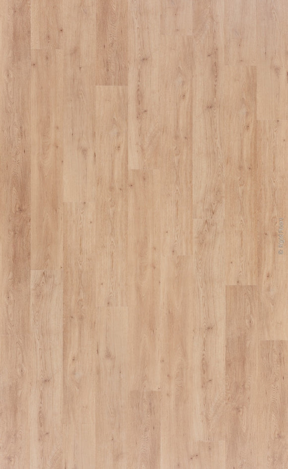 Lalegno Oak (A16050)