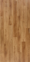 Lalego Ancona (A15602)-3